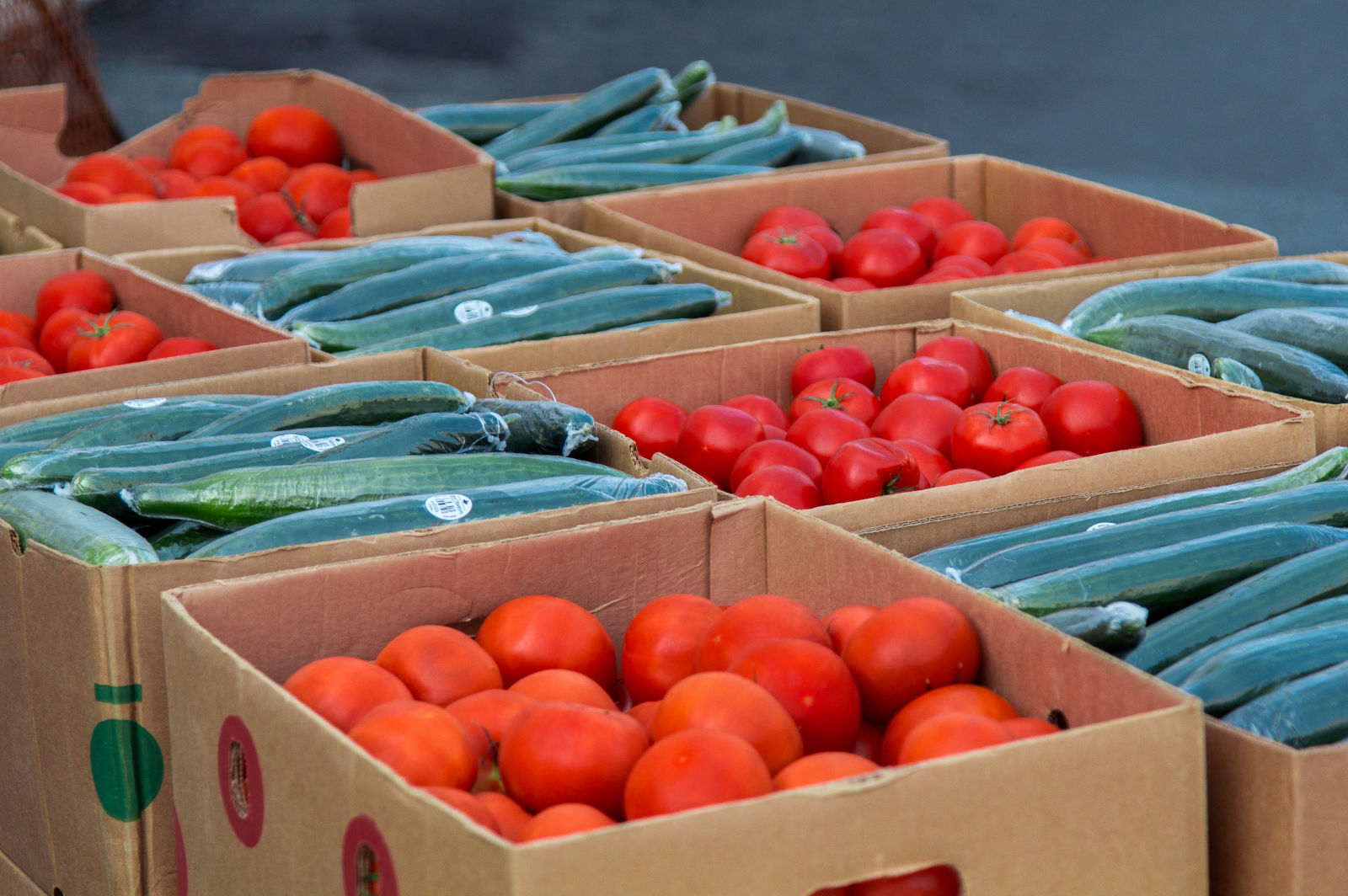 Boxes of tomatoes and cucumbers.